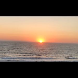 Meet your Posher, Joy